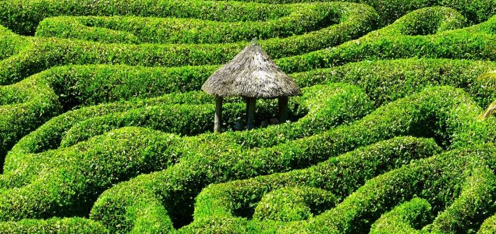 maze