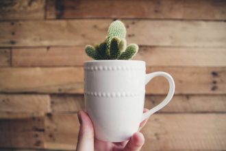 cactus mug