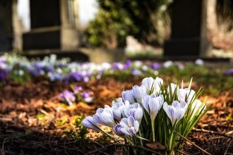 graveyard, university